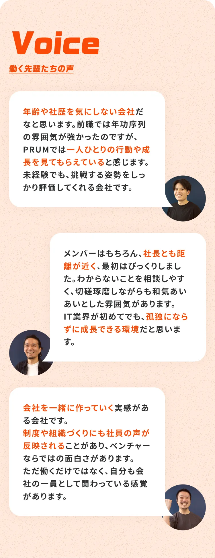 働く先輩たちの声